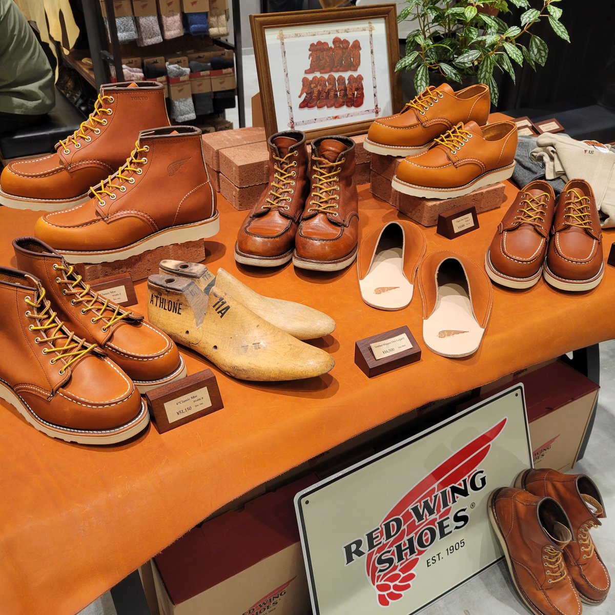 redwingheritage_jp tweet media