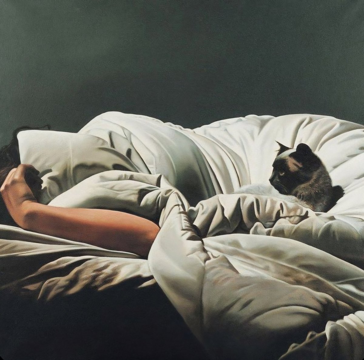 Marce 🖤🇺🇦🇻🇪🐺🌲🐱 tweet media