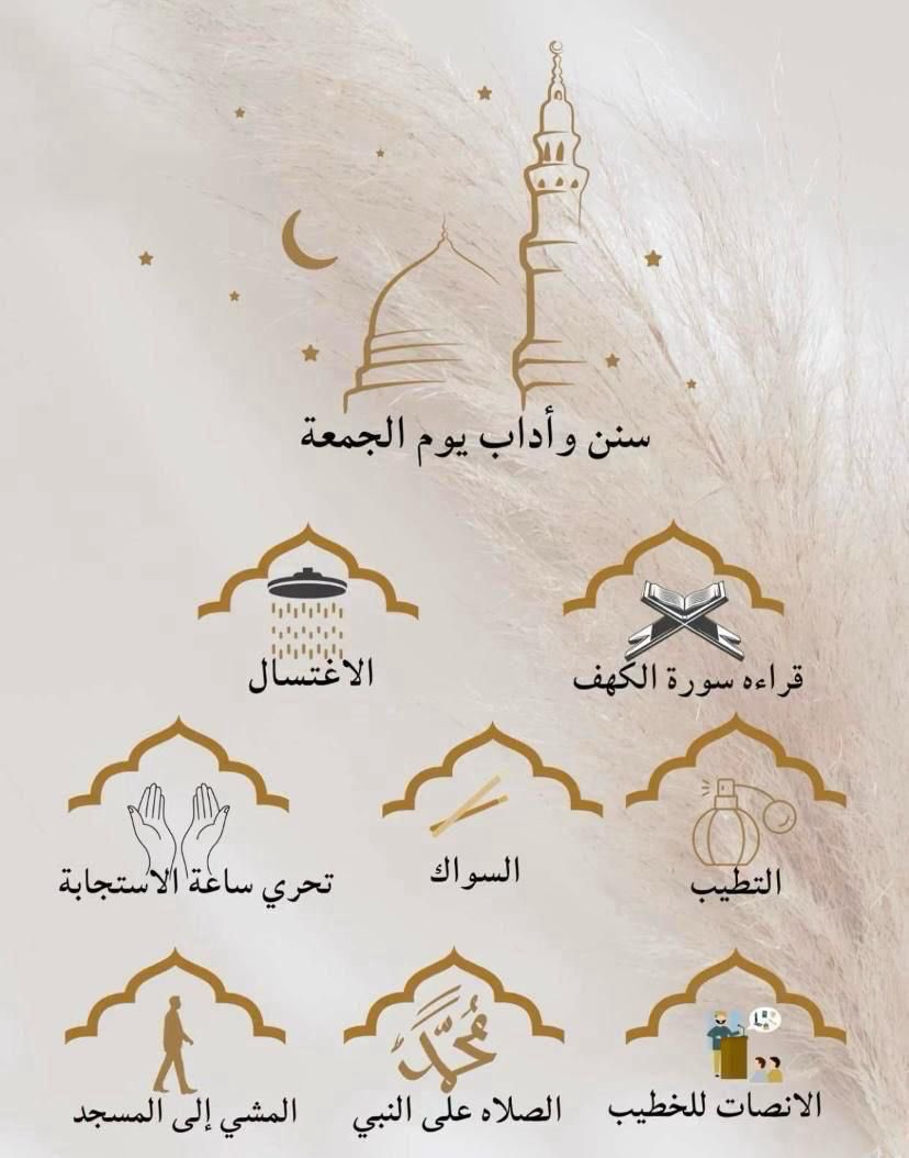 أخبارالنخيل وضواحيها tweet media
