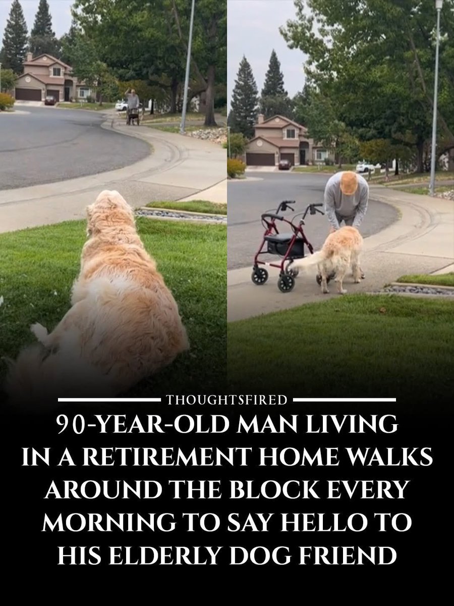 Mr PitBull tweet media