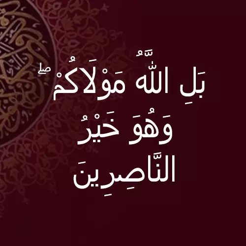 جودي. امين tweet media