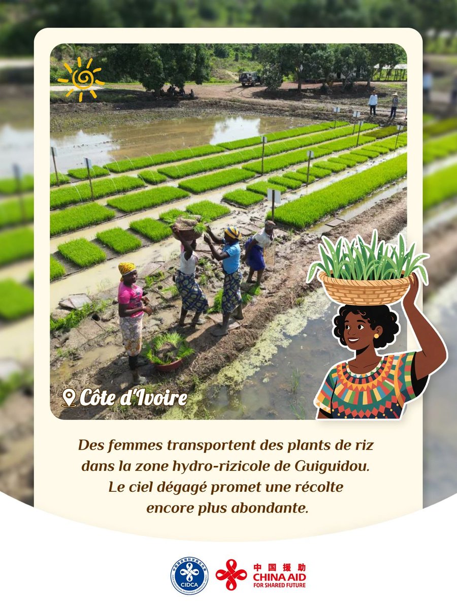 CIDCA tweet media