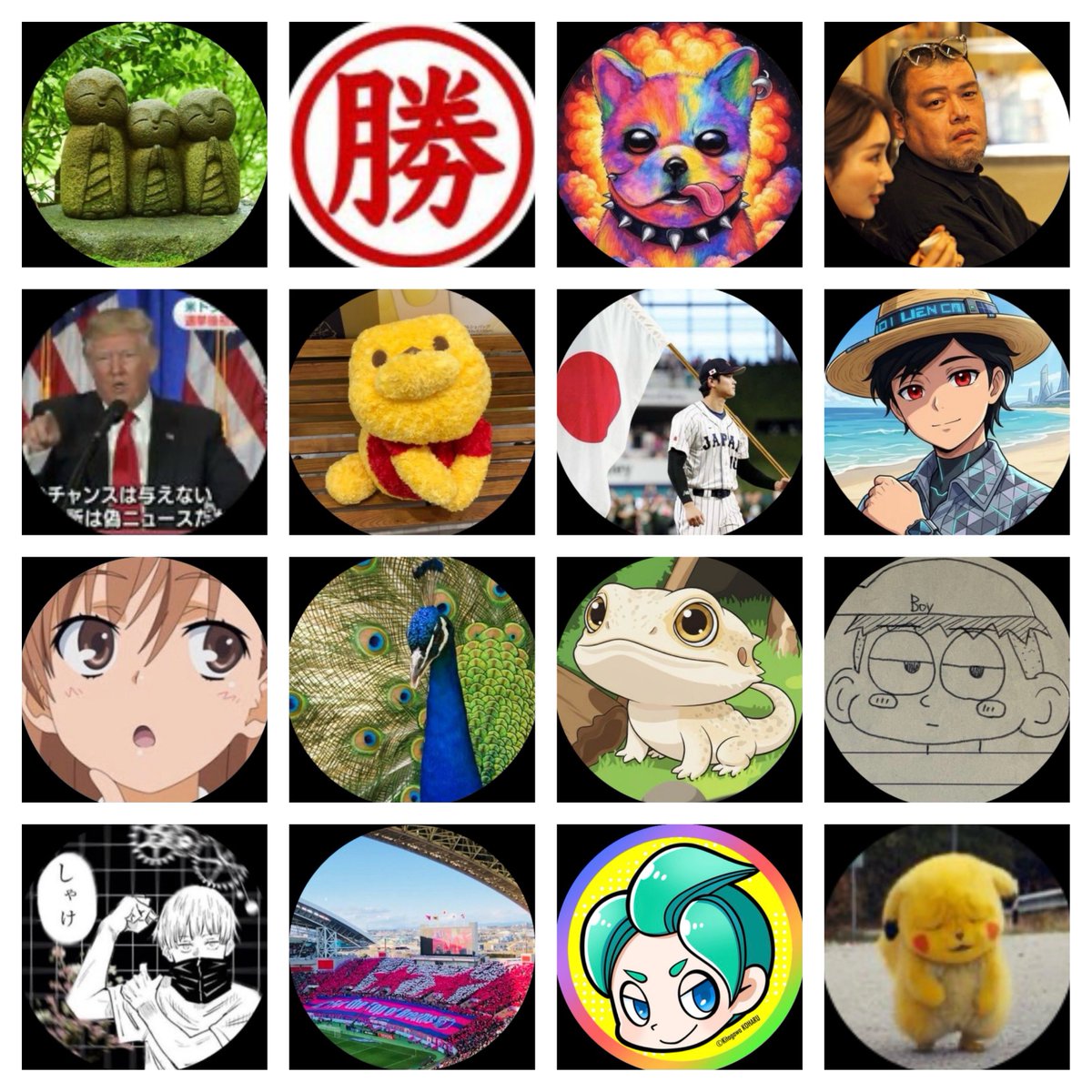 タコ先生 tweet media