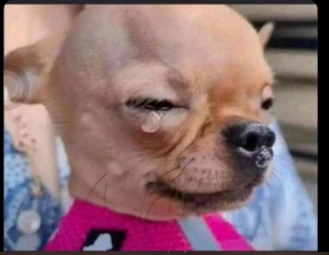 Kirya Ug 🇺🇬 tweet media