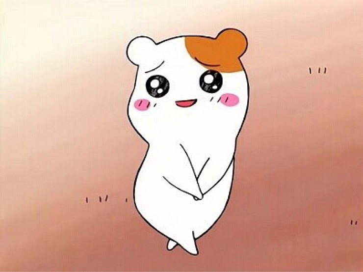 저스틴 와이프 tweet media