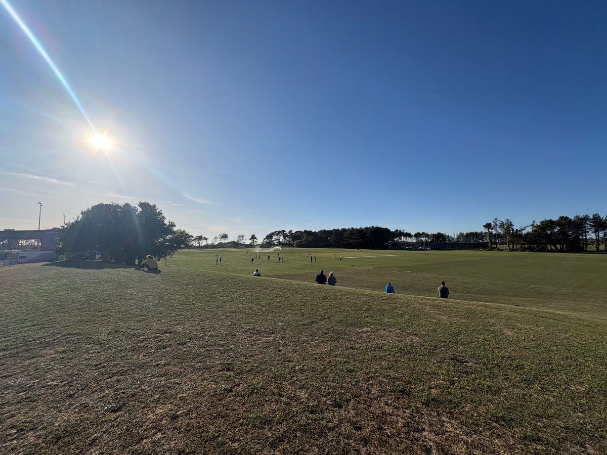 ATF St Ouen Springfield Cricket Club tweet media