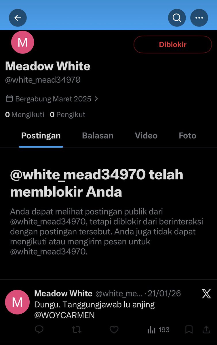 🦄 tweet media