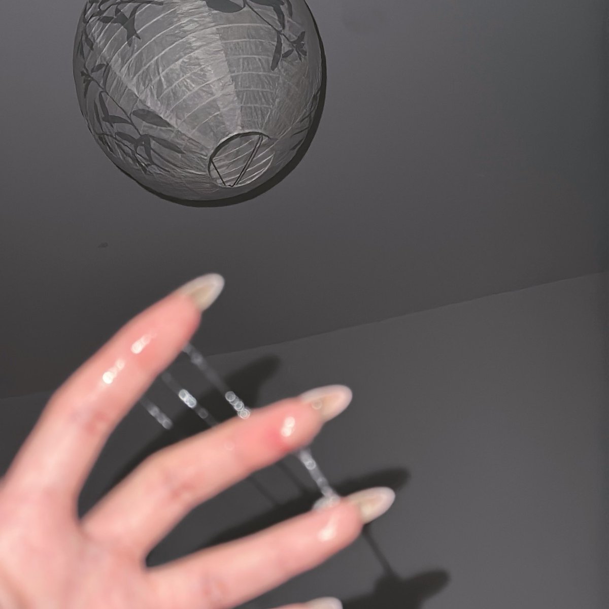 白露露 tweet media