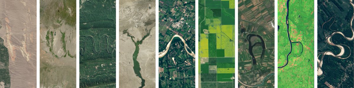 Humyn Labs tweet media