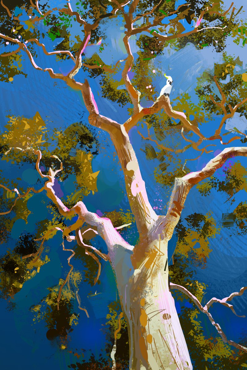 Austen Marr tweet media