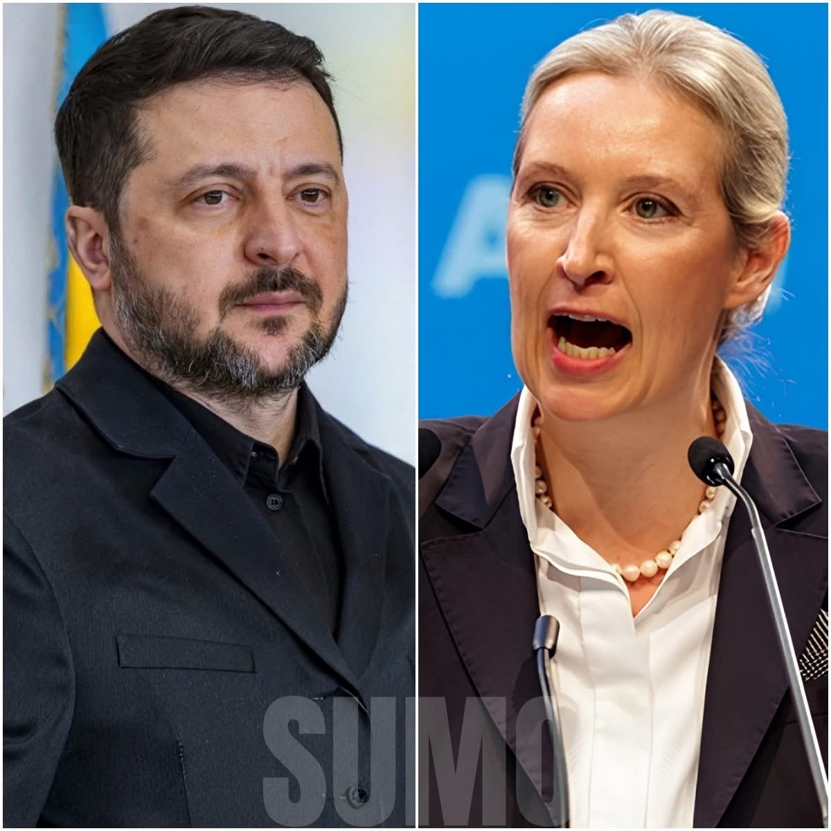 🕊️Myriam🕊️Sauvons L’humanité🕊️@CelebritesSM🕊 tweet media