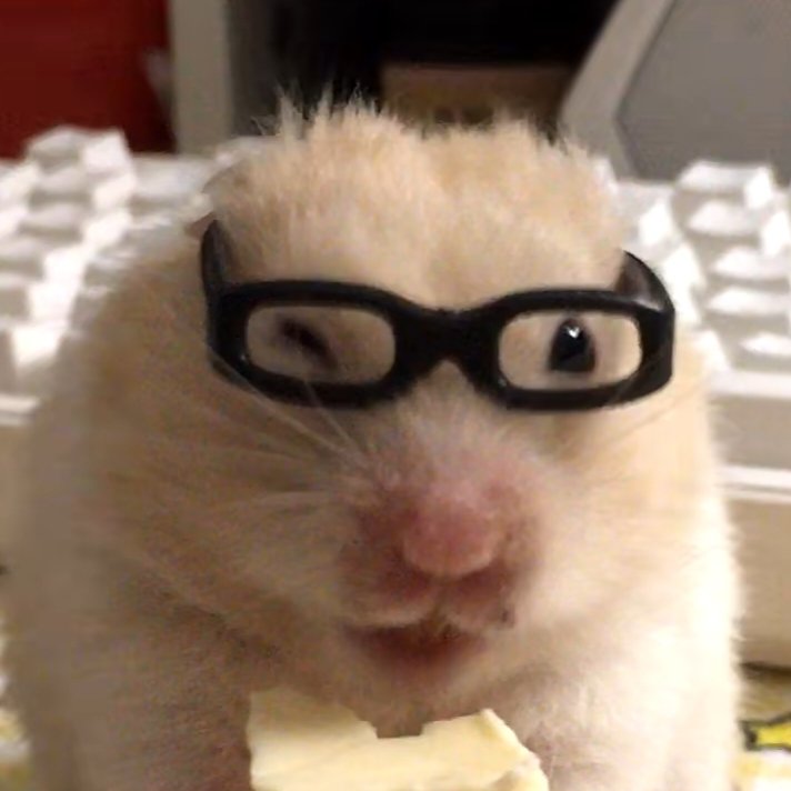 햄스터 서경배 tweet media