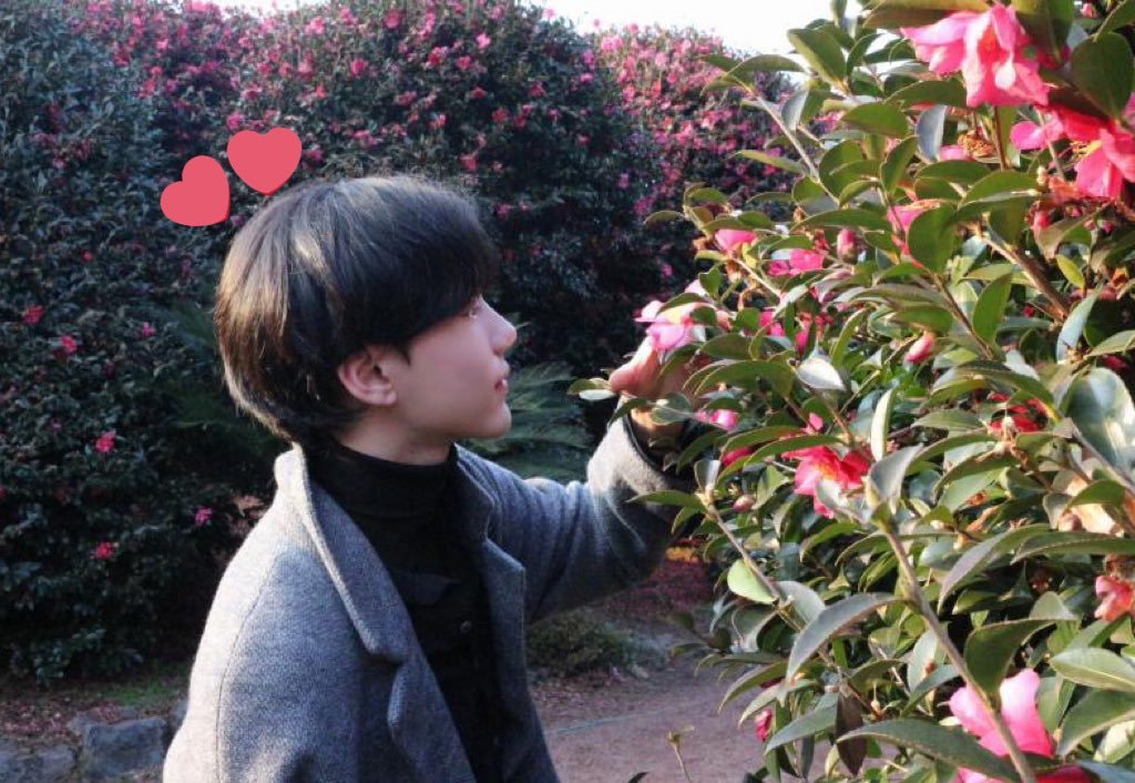 햄스터 서경배 tweet media