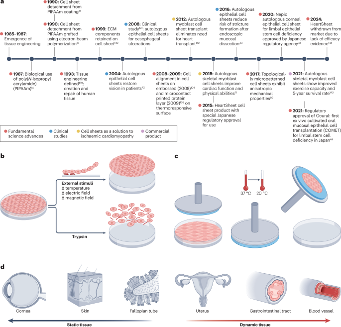 Nature Reviews Bioengineering tweet media