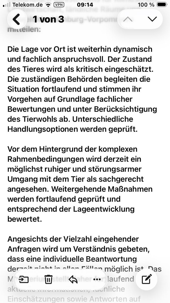 Esmeralda tweet media