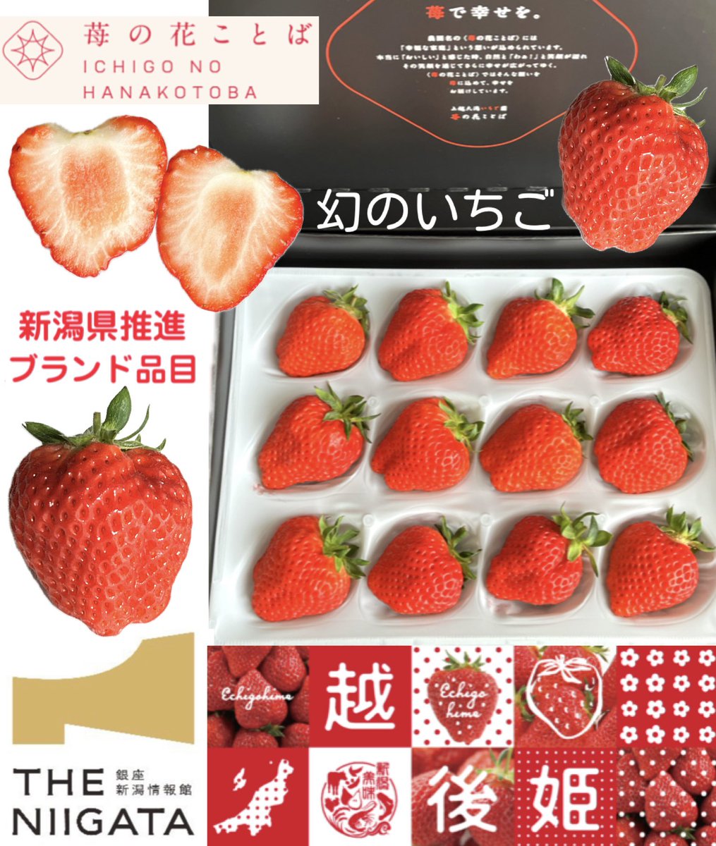 あの佐藤さん tweet media