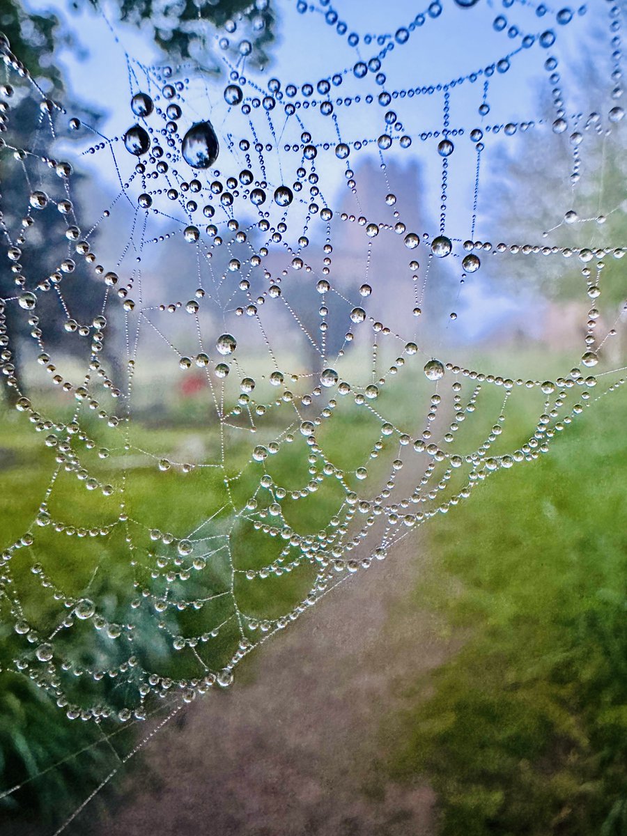 IanGee19's tweet image. A damp, misty and chilly start to the day around the village but the bonus was a rickety spider’s web on the churchyard gate that was covered in water droplets. I thought it looked quite nice. ⁦@ThePhotoHour⁩ ⁦@StormHour⁩ #Web #SpiderWeb #weather #Mist