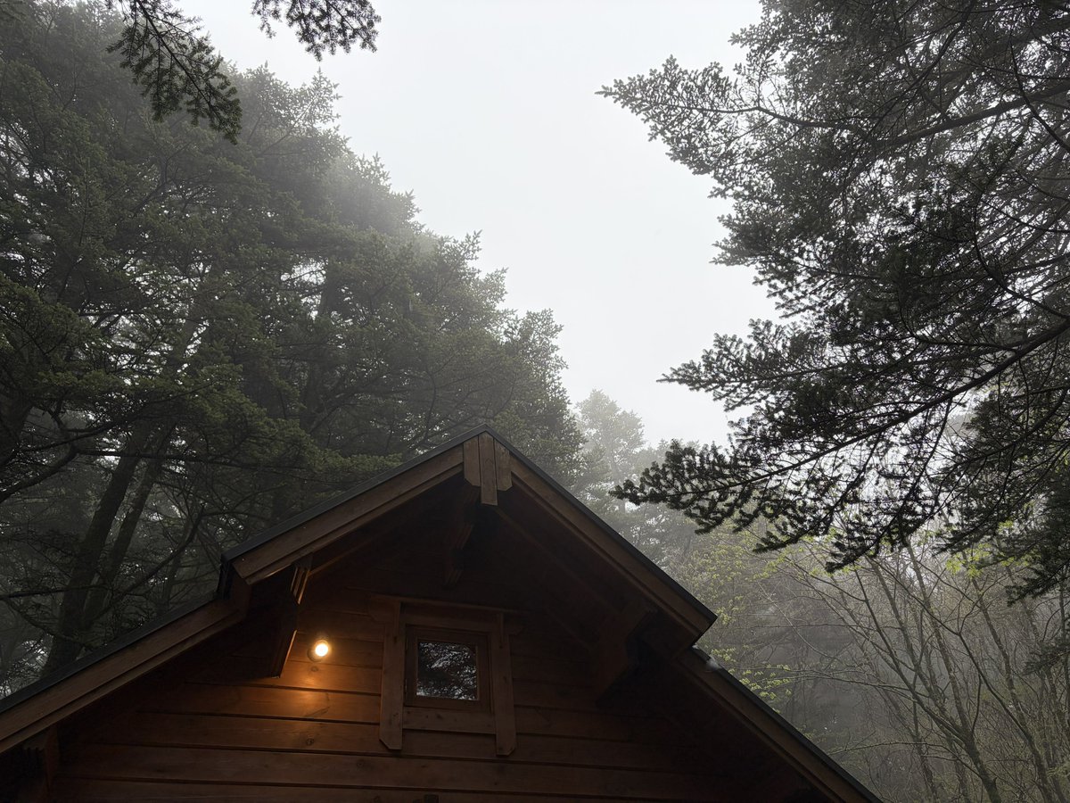 肩凝り.com tweet media