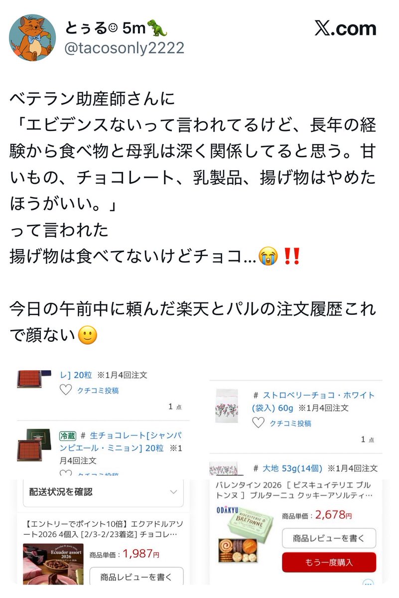 ねこしゃん tweet media