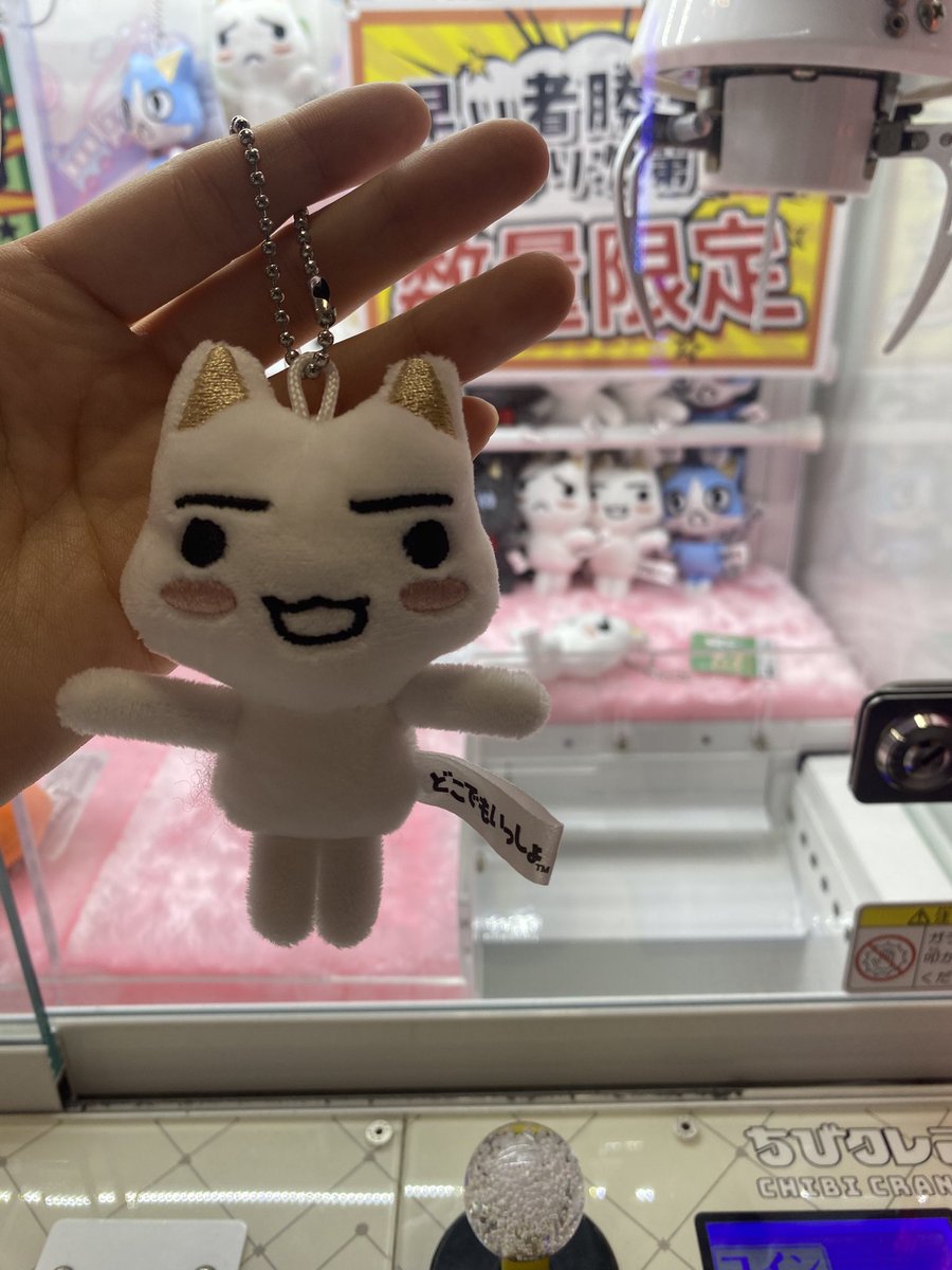 ちゃむ tweet media