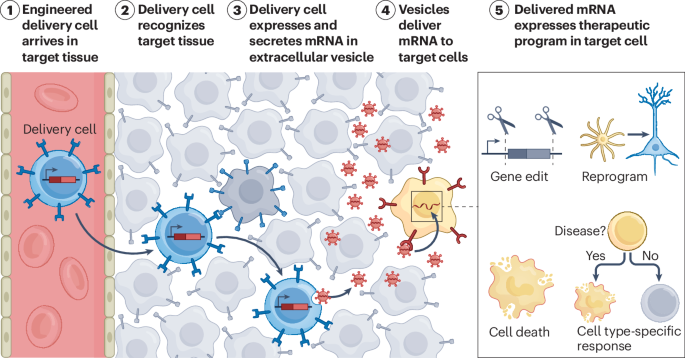 Nature Reviews Bioengineering tweet media