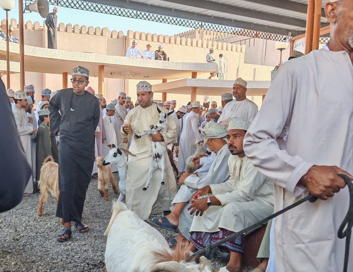 عمر النبهاني tweet media