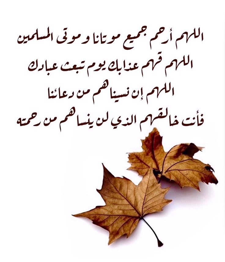 تغريدة tweet media