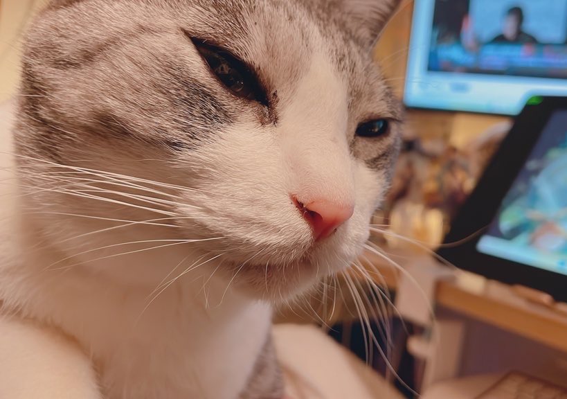 おまもん tweet media