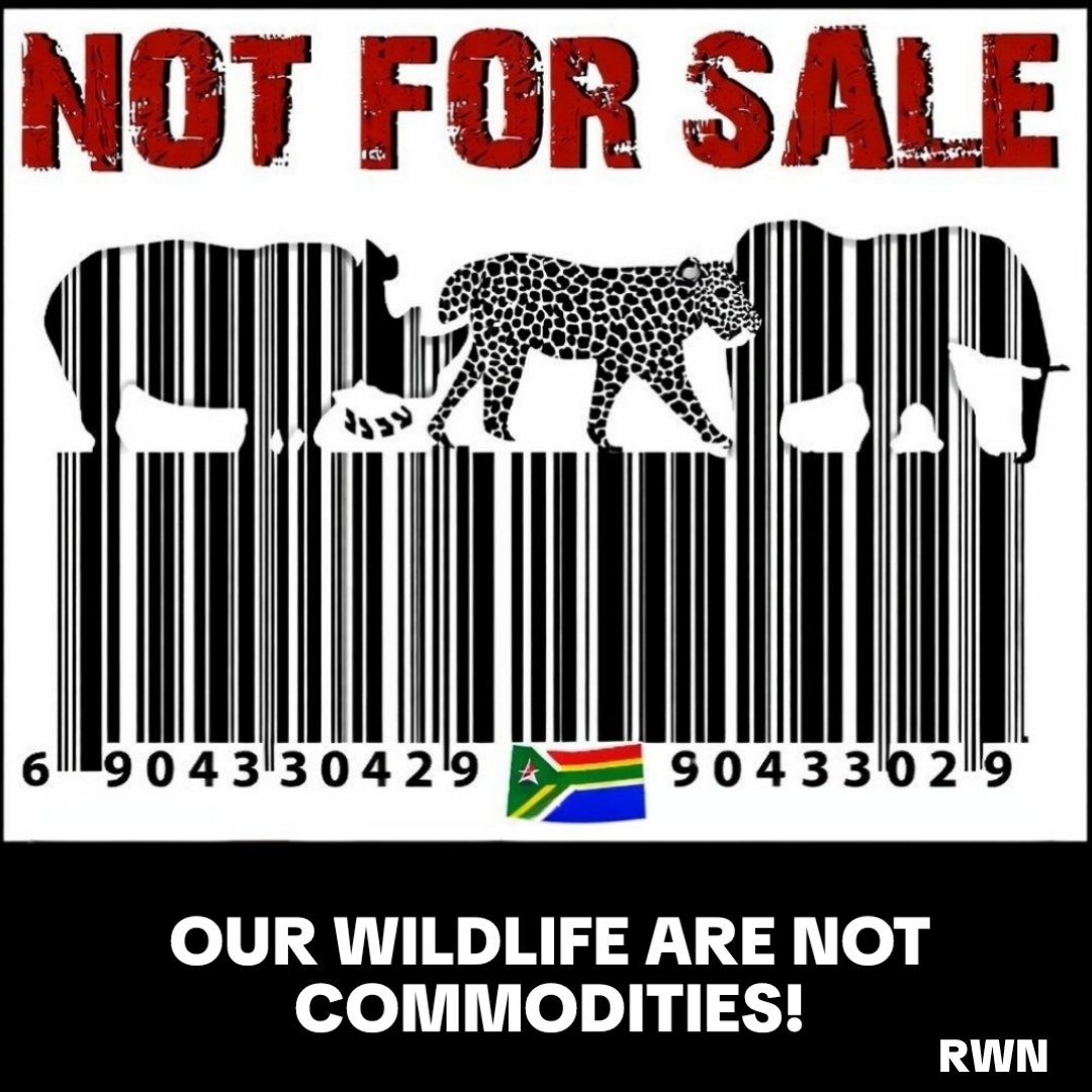 SueSpurgin's tweet photo. Not a barcode. Not a price tag.
A life. A legacy. A future.
Our wildlife are NOT FOR SALE to the highest bidder! 🐘🦏🐆
#EndWildlifeTrade #NotForSale #ProtectOurWildlife https://t.co/OblcvKXnK7