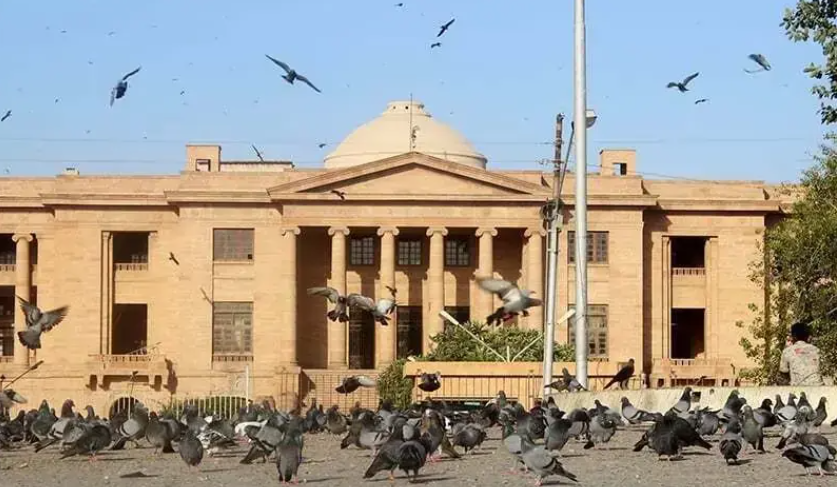 Sindh High Court issues notices to Sindh government, PPP leaders and officials over plea challenging 19,600-acre Education City land allotment in Malir amid alleged irregularities and farmer concerns. #Sindh #SHC #Pakistan #LandCase