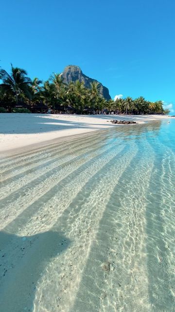 Mauritius Island tweet media
