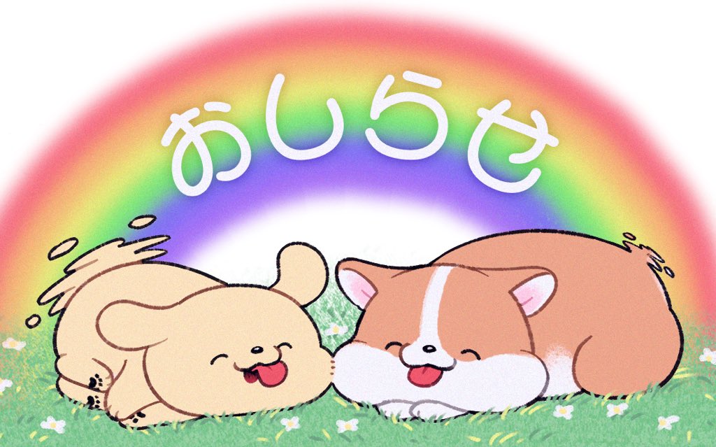 犬の次にえらいわにゃ🌈🐶 tweet media