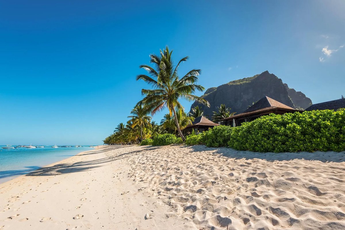 Mauritius Island tweet media
