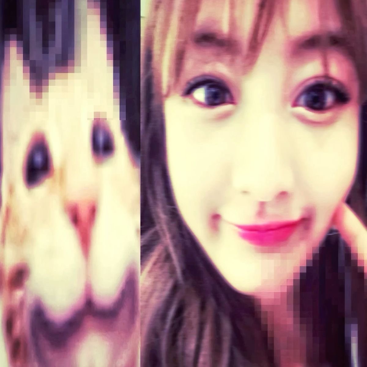 geeyow || up cutie 🌻 tweet media