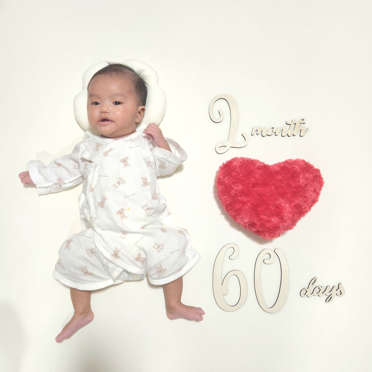 今中カナ@SEISYUN TV tweet media