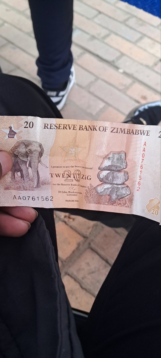 CoralSoft tweet media