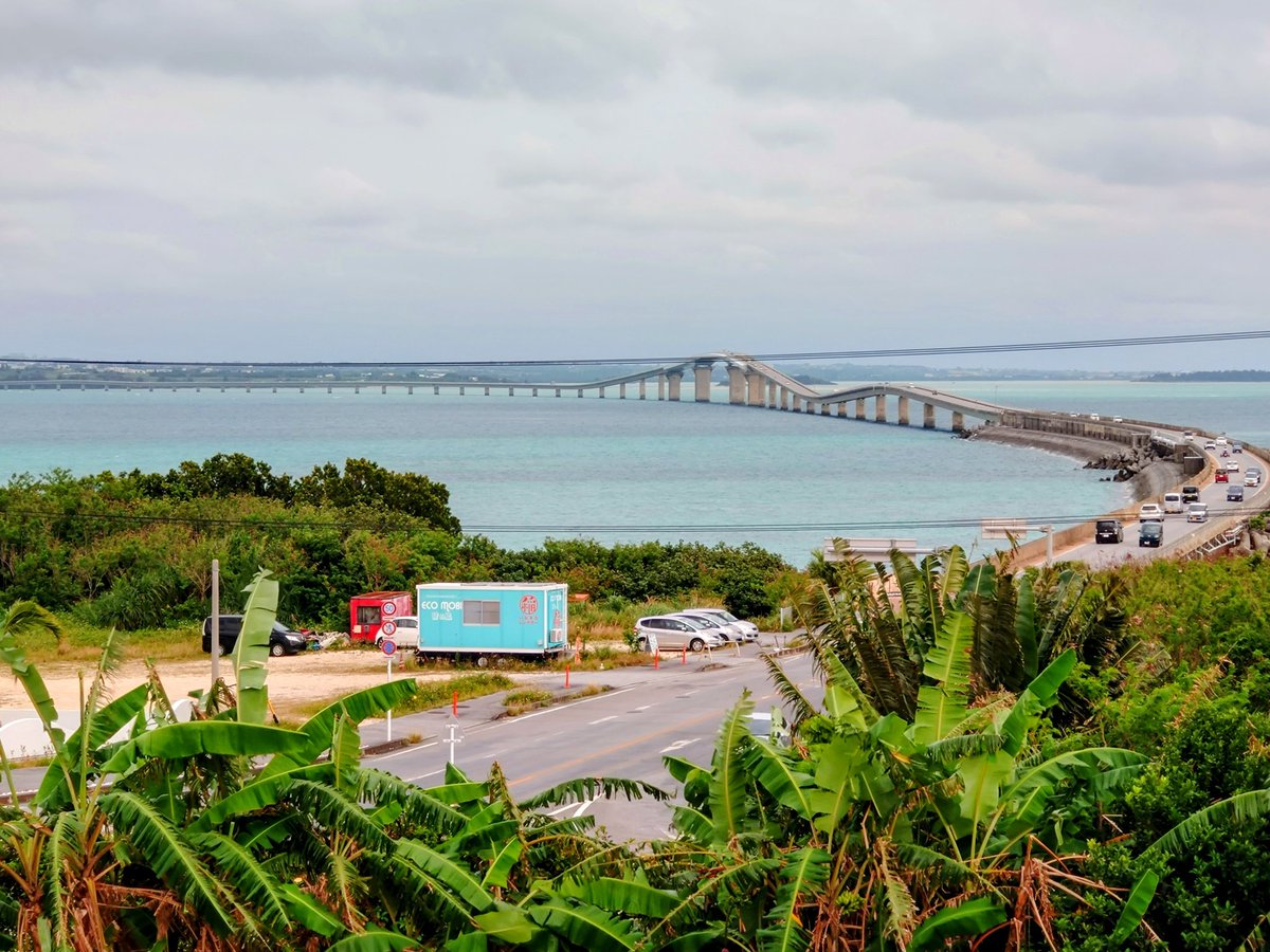 タカーキ✈ tweet media