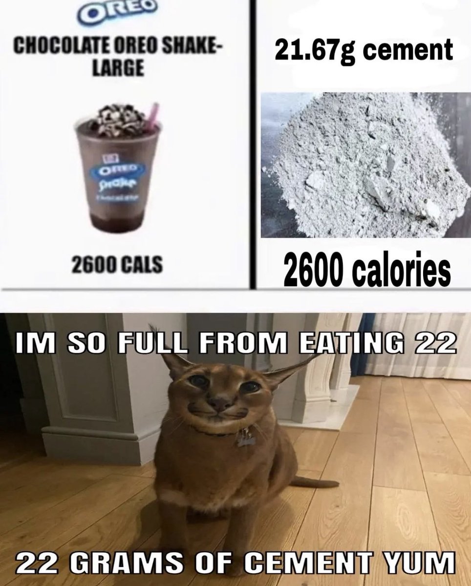 ᛉ 🌕🌲 𝐒𝐰𝐚𝐠𝐅𝐞𝐦 𝐑𝐢𝐳𝐳𝐥𝐞𝐫 🪻🌸☸️ tweet media