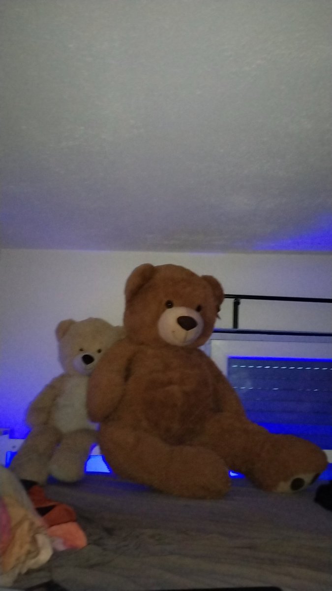 GlasbierrangerI's tweet image. Komm her du! Wir wollen mit dir chillen 🐕‍🦺💨🤎🐻🧸😍 #teddynowstreaming #chillhouse #TEDDYISLAND #teddybear #BearDown