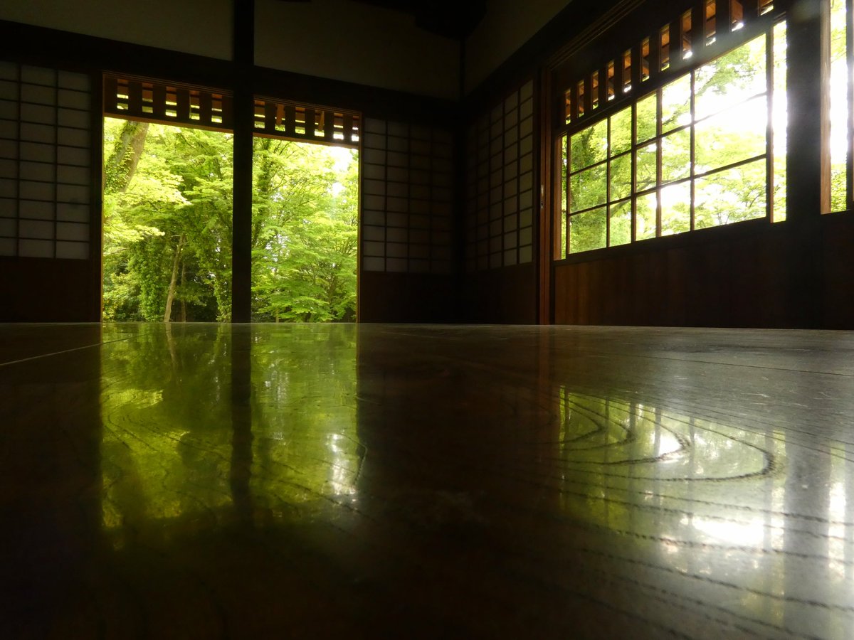 遅咲きのサクラを見送り、気が付けばすっかり新緑の苑内。
閑院宮邸跡では、青モミジが床に映り込む「床みどり」をご覧いただけます。
この時期ならではの新鮮な青が、薄曇りの光の中でより美しく映えていました。
角度によって変化する、木目の流れもお楽しみください。
 
#京都御苑 #床みどり #新緑