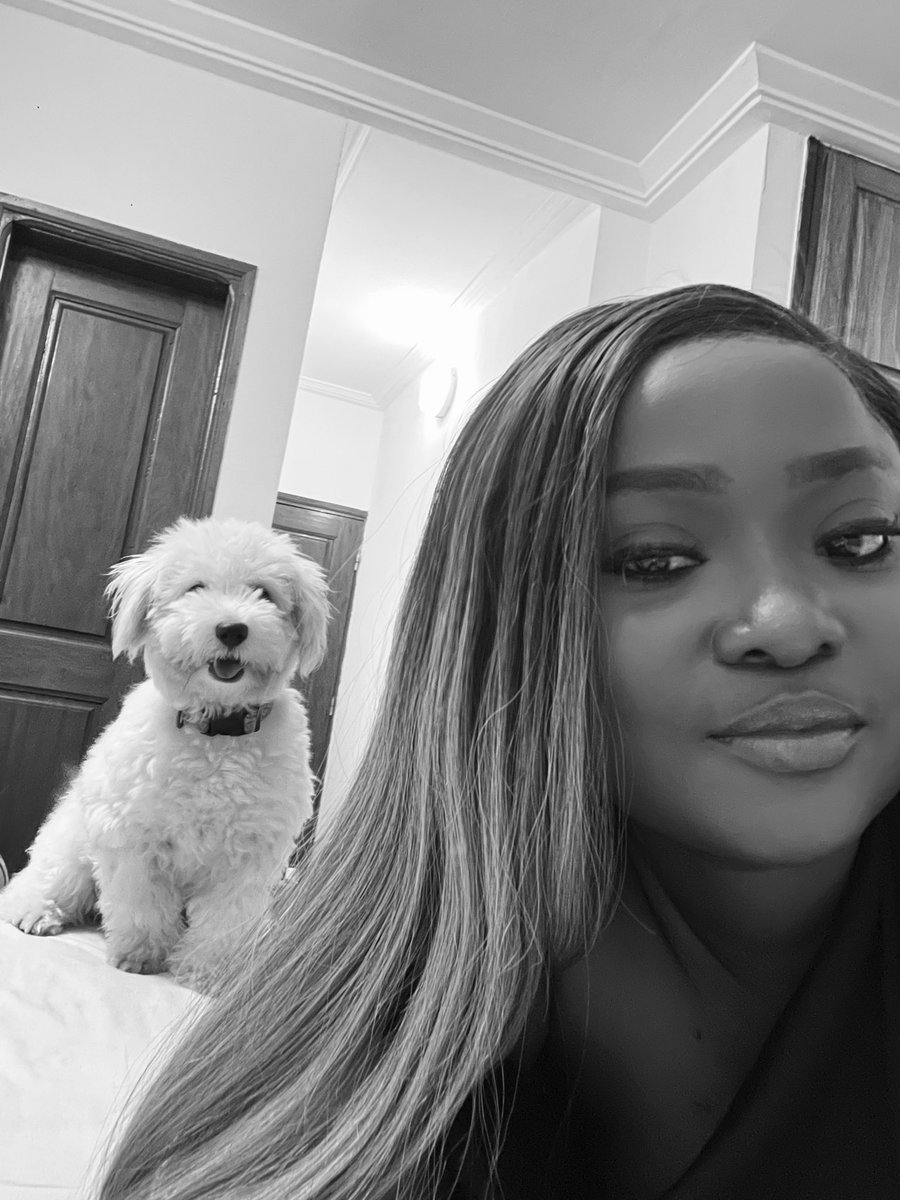 omotoppy's tweet image. Happy Birthday to my baby 🐶🎂
Max, you make every day brighter 💙
#BirthdayBoy #DogLover #MaxTurnsOne #dog