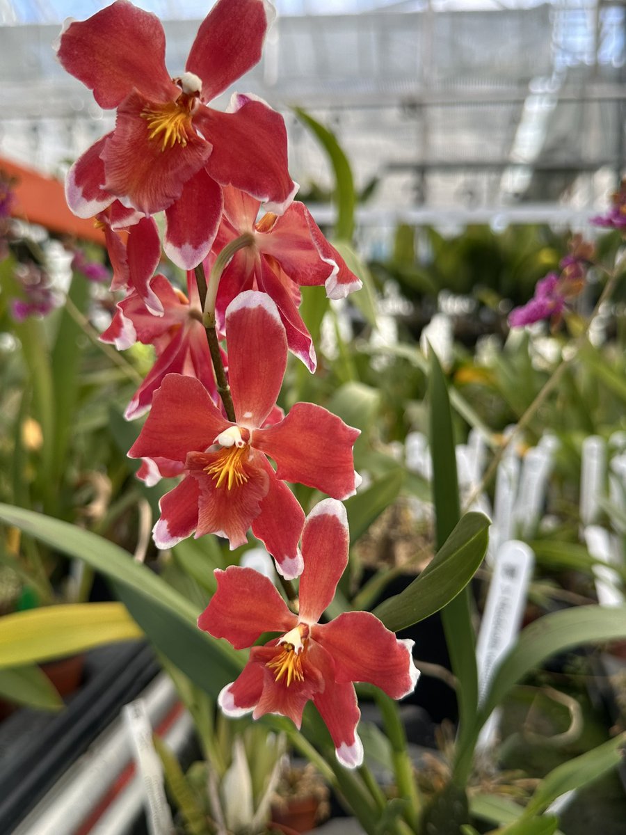 The Mathers Foundation tweet media