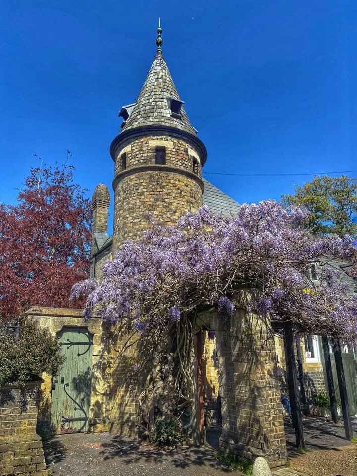 StephensHouse&Garden tweet media