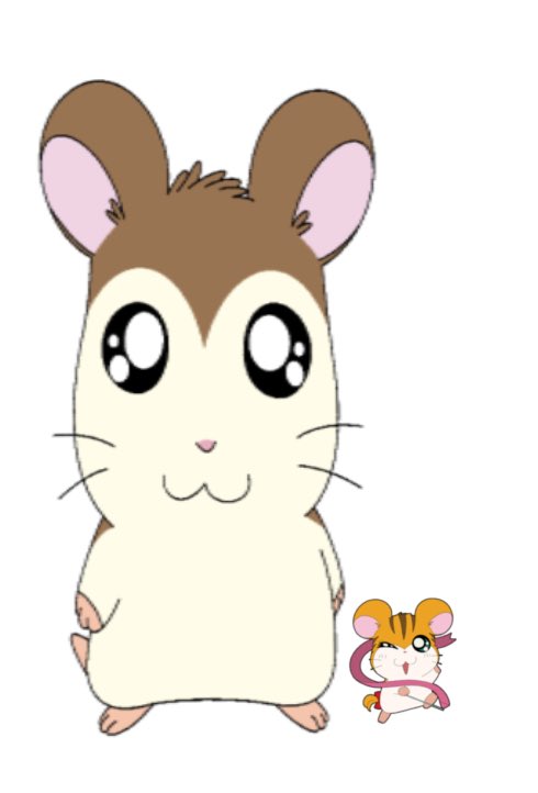 건과앗 체감크기 이정도