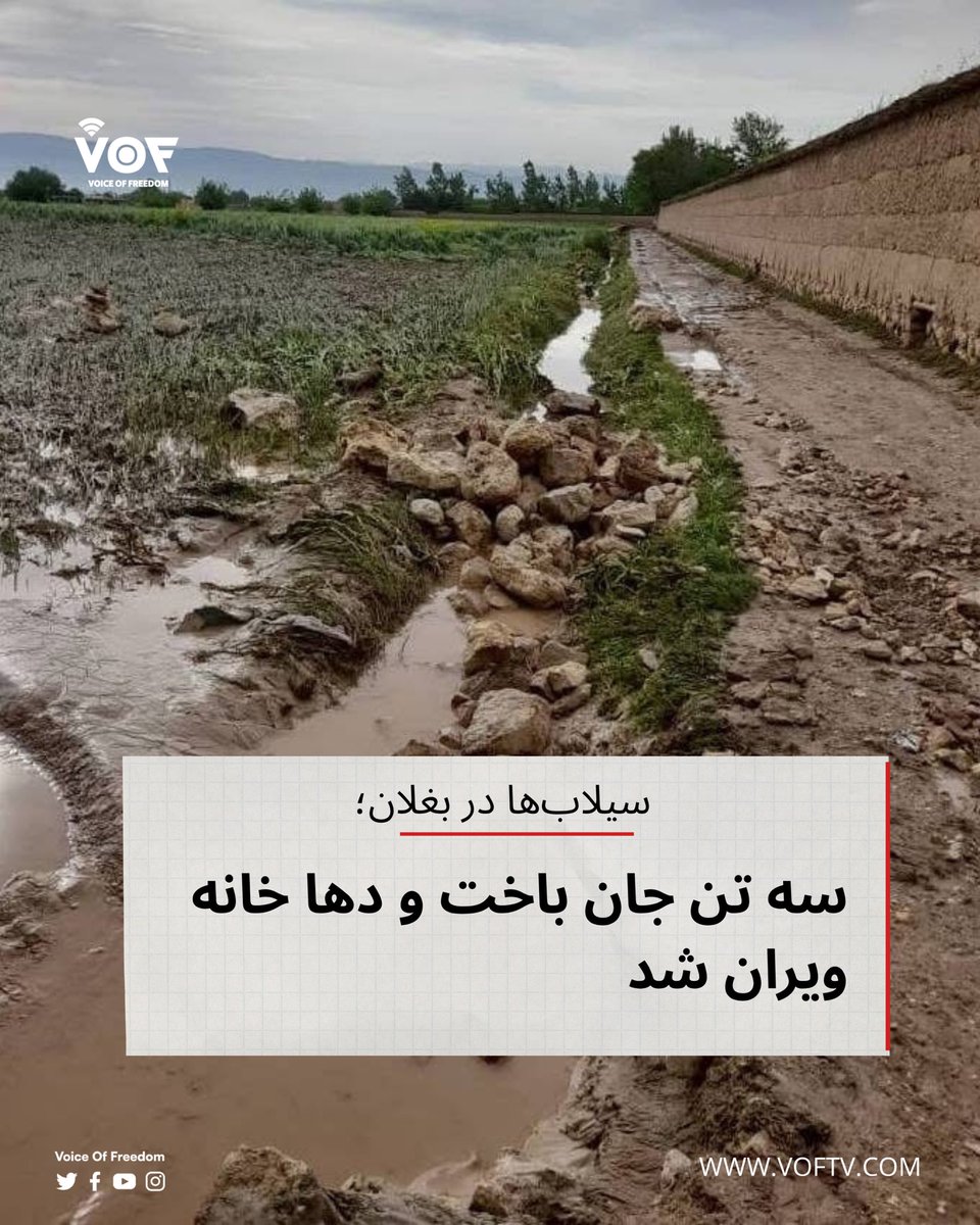 VOFtelevition's tweet image. در ۲۴ ساعت گذشته، سه تن در پی سرازیرشدن سیلاب‌ها در بخش‌هایی از ولایت بغلان جان باخته‌اند.

به گفته هدایت‌الله همدرد، رییس مبارزه با رویدادهای طبیعی تالبان در این ولایت، نزدیک به ۳۰ منزل مسکونی در ولسوالی‌های خنجان، دوشی و دهنه‌غوری تخریب شده‌اند.

#VOF