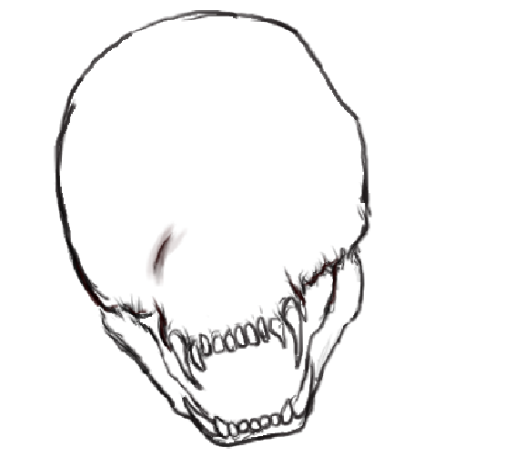 KafukaLand tweet media