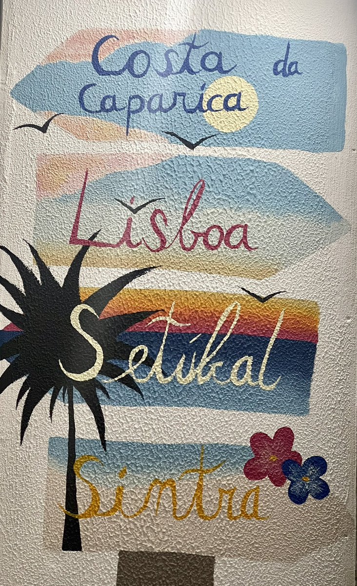 AnnieLichtner's tweet image. #FFB du Portugal 🇵🇹 merci @AnthonyRochand pour ce rdv hebdomadaire 
Excellent we à toutes et à tous