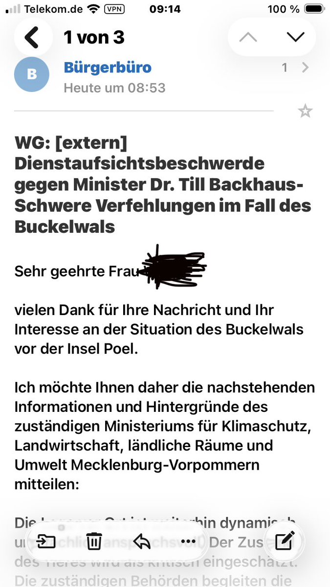 Esmeralda tweet media