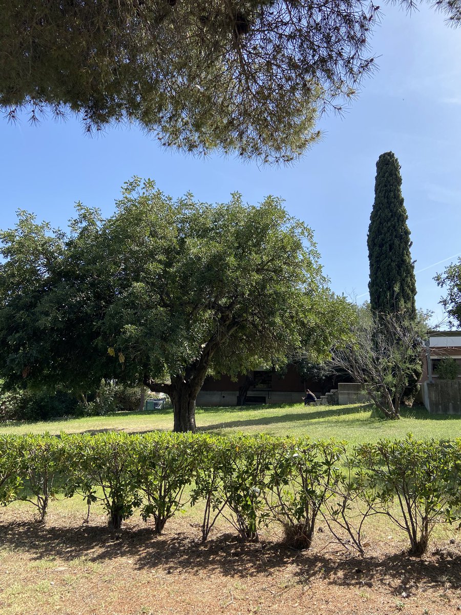 Muntsa R. Folch tweet media