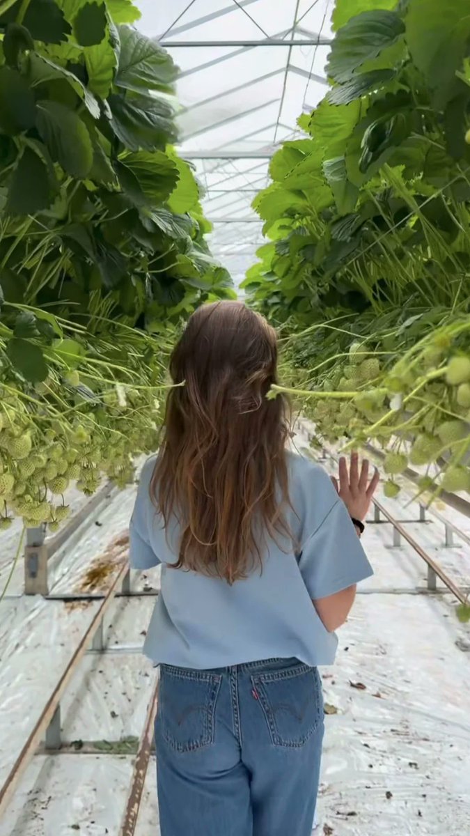 First Choice Produce tweet media